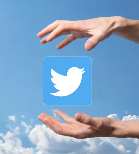 Looking for Twitter Advertising Services?